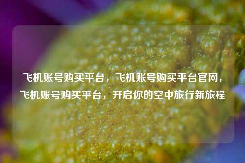 飞机账号购买平台，飞机账号购买平台官网，飞机账号购买平台，开启你的空中旅行新旅程