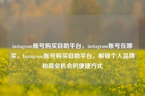 instagram账号购买自助平台，instagram账号在哪买，Instagram账号购买自助平台，解锁个人品牌和商业机会的便捷方式