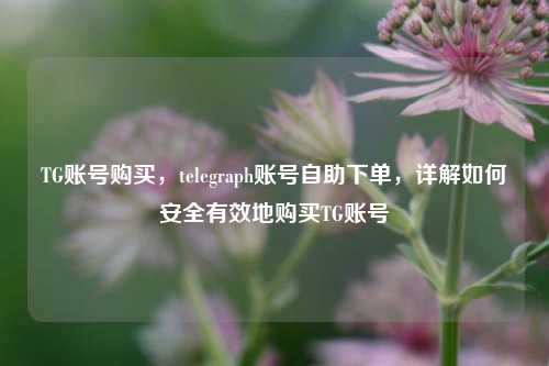 TG账号购买，telegraph账号自助下单，详解如何安全有效地购买TG账号