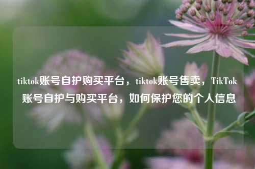 tiktok账号自护购买平台，tiktok账号售卖，TikTok 账号自护与购买平台，如何保护您的个人信息