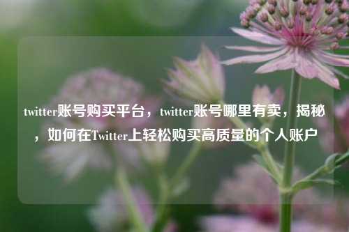 twitter账号购买平台，twitter账号哪里有卖，揭秘，如何在Twitter上轻松购买高质量的个人账户