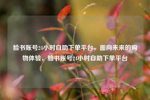 脸书账号24小时自助下单平台，面向未来的购物体验，脸书账号24小时自助下单平台