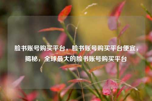 脸书账号购买平台	，脸书账号购买平台便宜，揭秘，全球最大的脸书账号购买平台  第1张
