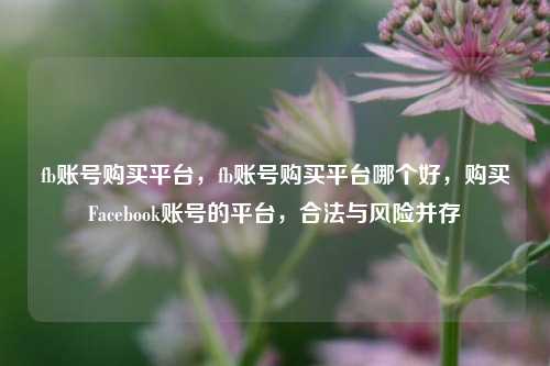 fb账号购买平台，fb账号购买平台哪个好，购买Facebook账号的平台，合法与风险并存