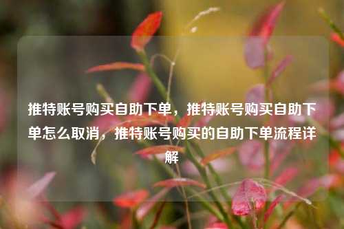 推特账号购买自助下单，推特账号购买自助下单怎么取消，推特账号购买的自助下单流程详解