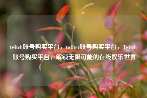 twitch账号购买平台，twiiter账号购买平台，Twitch 账号购买平台，解锁无限可能的在线娱乐世界