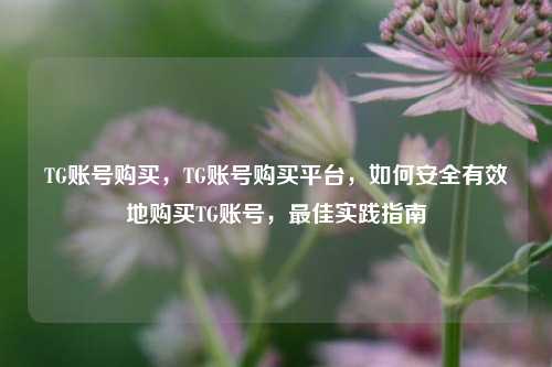 TG账号购买，TG账号购买平台，如何安全有效地购买TG账号，最佳实践指南