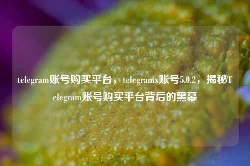 telegram账号购买平台，telegramx账号5.0.2，揭秘Telegram账号购买平台背后的黑幕