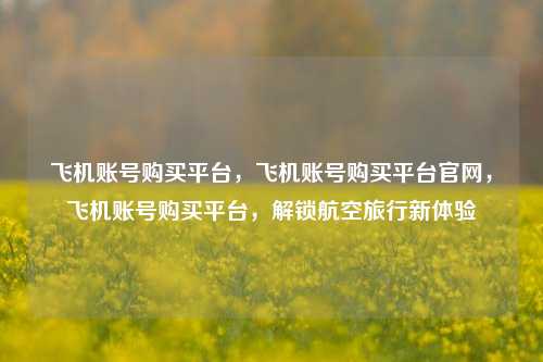 飞机账号购买平台，飞机账号购买平台官网，飞机账号购买平台，解锁航空旅行新体验