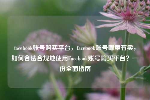 facebook帐号购买平台，facebook账号哪里有卖，如何合法合规地使用Facebook账号购买平台？一份全面指南