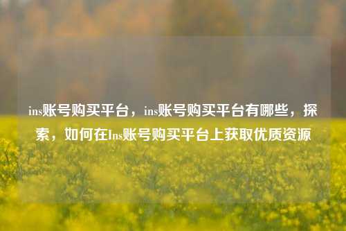 ins账号购买平台，ins账号购买平台有哪些，探索，如何在Ins账号购买平台上获取优质资源