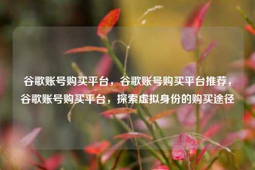 谷歌账号购买平台，谷歌账号购买平台推荐，谷歌账号购买平台，探索虚拟身份的购买途径
