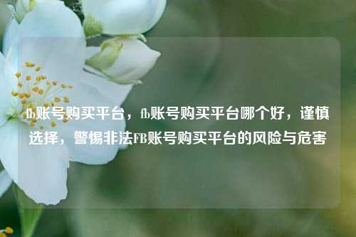fb账号购买平台，fb账号购买平台哪个好，谨慎选择，警惕非法FB账号购买平台的风险与危害