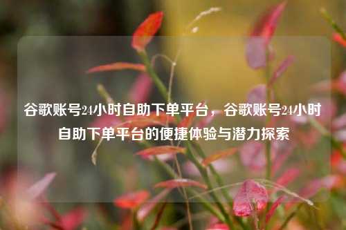 谷歌账号24小时自助下单平台，谷歌账号24小时自助下单平台的便捷体验与潜力探索