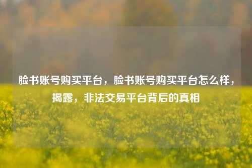 脸书账号购买平台，脸书账号购买平台怎么样，揭露，非法交易平台背后的真相