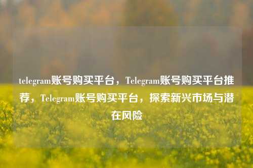 telegram账号购买平台，Telegram账号购买平台推荐，Telegram账号购买平台，探索新兴市场与潜在风险