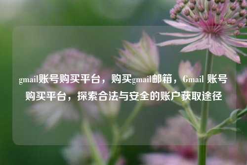 gmail账号购买平台，购买gmail邮箱，Gmail 账号购买平台，探索合法与安全的账户获取途径