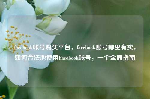 facebook帐号购买平台，facebook账号哪里有卖，如何合法地使用Facebook账号，一个全面指南
