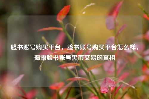 脸书账号购买平台，脸书账号购买平台怎么样，揭露脸书账号黑市交易的真相