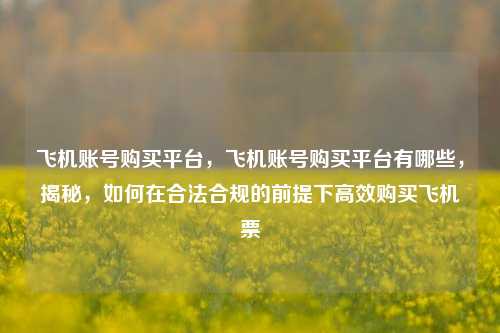 飞机账号购买平台，飞机账号购买平台有哪些，揭秘，如何在合法合规的前提下高效购买飞机票