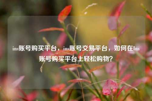 ins账号购买平台，ins账号交易平台，如何在Ins账号购买平台上轻松购物？