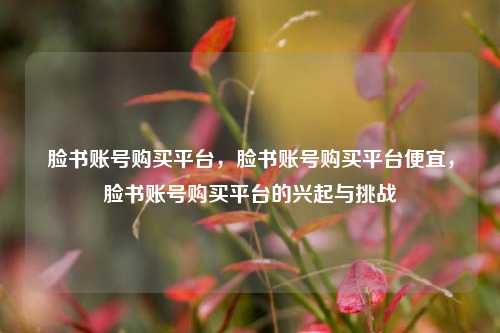 脸书账号购买平台，脸书账号购买平台便宜，脸书账号购买平台的兴起与挑战