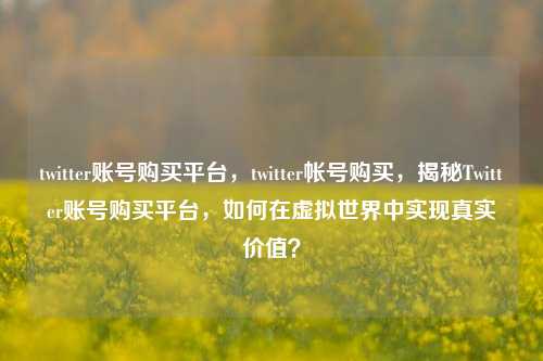 twitter账号购买平台，twitter帐号购买，揭秘Twitter账号购买平台，如何在虚拟世界中实现真实价值？