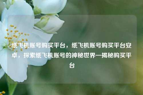 纸飞机账号购买平台，纸飞机账号购买平台安卓，探索纸飞机账号的神秘世界—揭秘购买平台