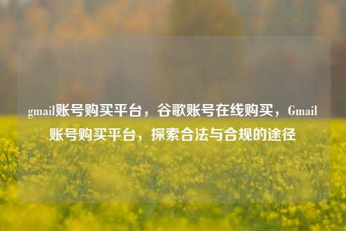 gmail账号购买平台，谷歌账号在线购买，Gmail账号购买平台，探索合法与合规的途径