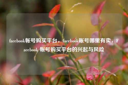 facebook帐号购买平台，facebook账号哪里有卖，Facebook 帐号购买平台的兴起与风险