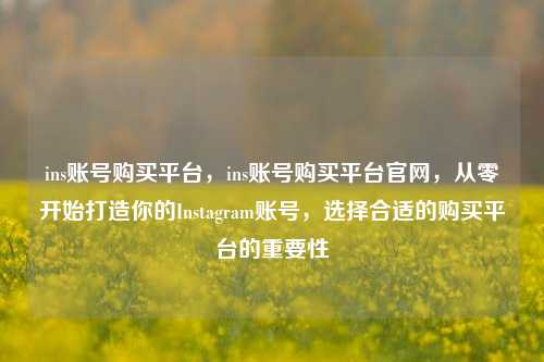 ins账号购买平台，ins账号购买平台官网，从零开始打造你的Instagram账号，选择合适的购买平台的重要性