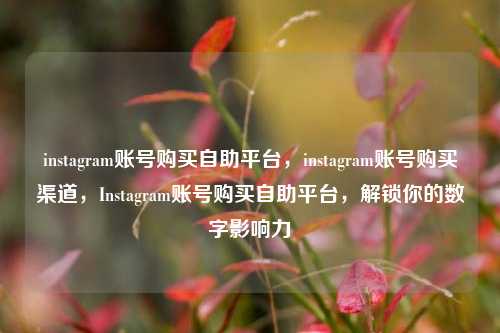 instagram账号购买自助平台，instagram账号购买渠道，Instagram账号购买自助平台，解锁你的数字影响力