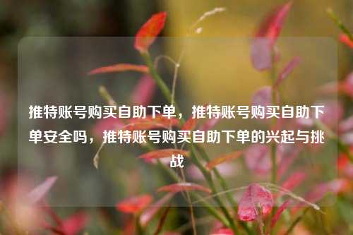 推特账号购买自助下单，推特账号购买自助下单安全吗，推特账号购买自助下单的兴起与挑战