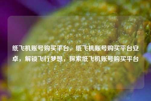 纸飞机账号购买平台，纸飞机账号购买平台安卓，解锁飞行梦想，探索纸飞机账号购买平台