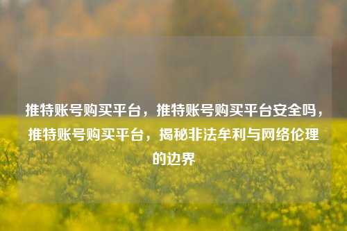 推特账号购买平台，推特账号购买平台安全吗，推特账号购买平台，揭秘非法牟利与网络伦理的边界