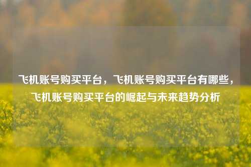 飞机账号购买平台，飞机账号购买平台有哪些，飞机账号购买平台的崛起与未来趋势分析
