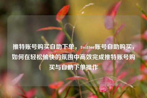 推特账号购买自助下单，twitter账号自助购买，如何在轻松愉快的氛围中高效完成推特账号购买与自助下单操作  第1张