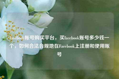 facebook帐号购买平台，买facebook账号多少钱一个，如何合法合规地在Facebook上注册和使用账号