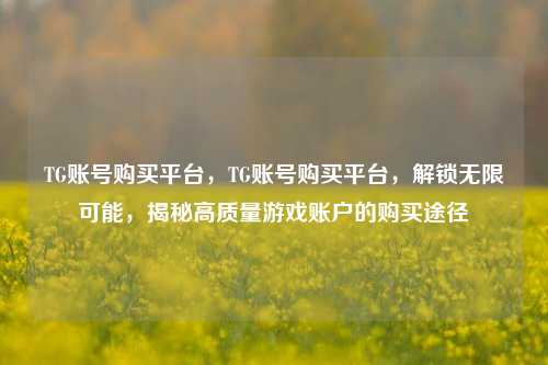 TG账号购买平台，TG账号购买平台，解锁无限可能，揭秘高质量游戏账户的购买途径