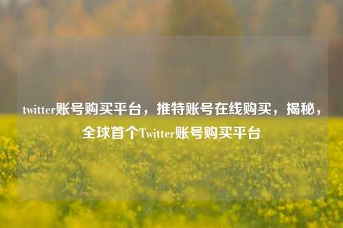 twitter账号购买平台，推特账号在线购买，揭秘，全球首个Twitter账号购买平台