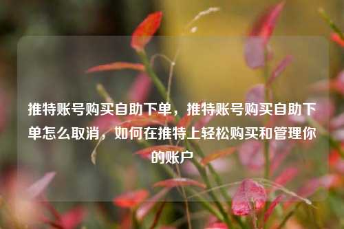 推特账号购买自助下单，推特账号购买自助下单怎么取消，如何在推特上轻松购买和管理你的账户