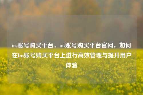 ins账号购买平台，ins账号购买平台官网，如何在Ins账号购买平台上进行高效管理与提升用户体验