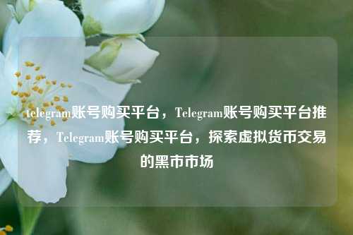 telegram账号购买平台	，Telegram账号购买平台推荐，Telegram账号购买平台，探索虚拟货币交易的黑市市场  第1张