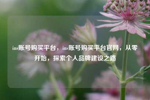 ins账号购买平台，ins账号购买平台官网，从零开始，探索个人品牌建设之路