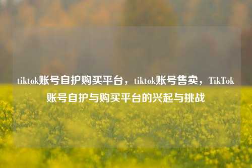 tiktok账号自护购买平台，tiktok账号售卖，TikTok账号自护与购买平台的兴起与挑战