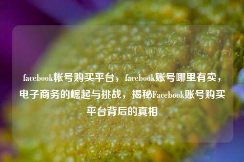 facebook帐号购买平台，facebook账号哪里有卖，电子商务的崛起与挑战，揭秘Facebook账号购买平台背后的真相