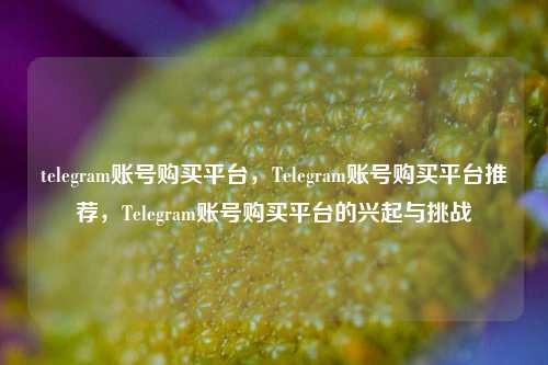 telegram账号购买平台，Telegram账号购买平台推荐，Telegram账号购买平台的兴起与挑战