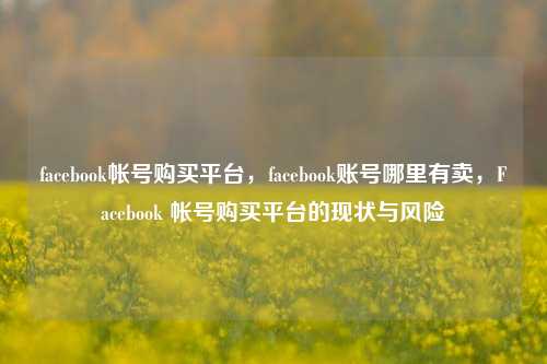facebook帐号购买平台，facebook账号哪里有卖，Facebook 帐号购买平台的现状与风险