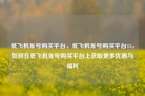 纸飞机账号购买平台，纸飞机账号购买平台15，如何在纸飞机账号购买平台上获取更多优惠与福利