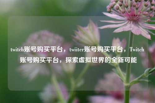 twitch账号购买平台，twiiter账号购买平台，Twitch 账号购买平台，探索虚拟世界的全新可能